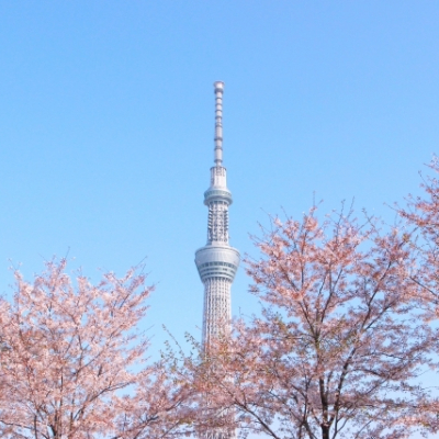 地域担当者に直接ご相談できます