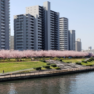 地域担当者に直接ご相談できます