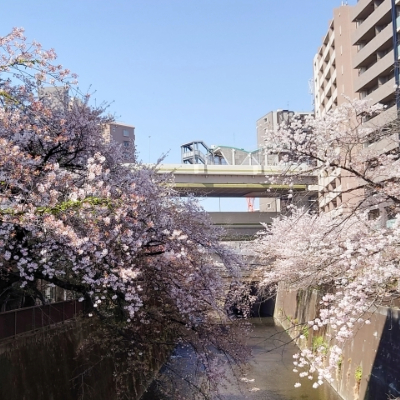 地域担当者に直接ご相談できます