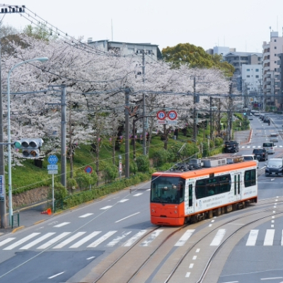 地域担当者に直接ご相談できます