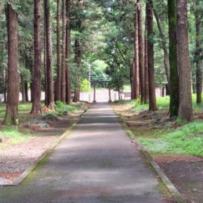 地域担当者に直接ご相談できます