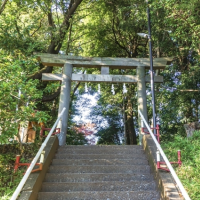 地域担当者に直接ご相談できます